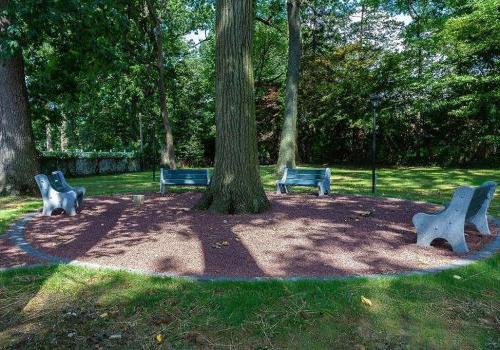 宾夕法尼亚州费城Eola公园bbin出租的户外长椅座位区围绕着一棵树